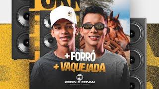 Pedin & Edivan - Cd Maio 2024 Rep.Novo Pra Paredão