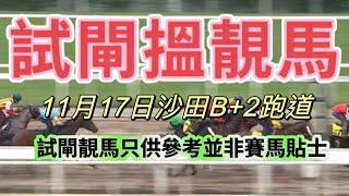 11月17日沙田B+2跑道 試閘搵靚馬