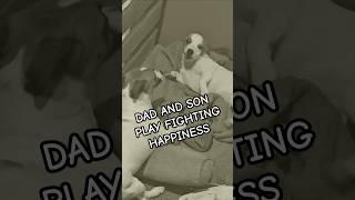 Dad & Son Duo: Jack Russell Playtime Shenanigans!