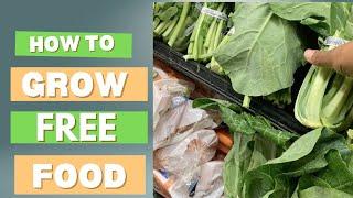 How to Grow Free Food