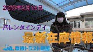 バレンタインプレゼント　最新在庫情報（2025年2月14日）　農機トラスト四国