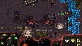 스타크래프트 빅헌터