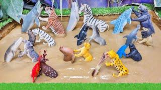 Wild Animals Vs Sea Animals Epic Mud Adventure in Mud Ground  Kids Learning Video