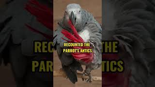 The President's Potty-Mouthed Parrot Pal, Poll #history #weirdhistory #littleknownfacts