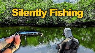 Fishing Florida Mangroves In Silence - Non-Stop Action!