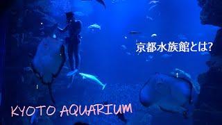 Kyoto Aquarium | 京都水族館とは? | Life in Japan