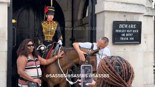 Man Harasses King's Guard Horse, Grabs Bridle in Shocking Incident ️