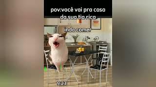 Compilação Pov Dos Gatinhos 