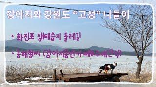 강원도“고성”여행 (산책 / “동해형씨” 진짜 동해수산물 수제간식 카페추천)