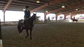 Cherise Madrid and Allie- Walk-Trot- Goucher College- March 19th, 2017