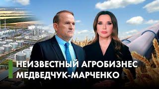 Агробизнес Медведчука и Марченко: санкции, компании, суды | Latifundist