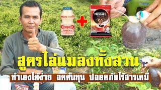 สูตรไล่แมลงได้ทั้งสวน ปลอดภัยไร้สารเคมี #น้ำหมัก #กาแฟ #ไล่แมลง #พืชผักสวนครัว #แนวทางเกษตร