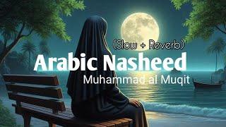 Tabsirah Arabic Nasheed   محمد المقيط   تبصرة   Muhammad al Muqit #ماهين lofi nashid #lofi #nasheed