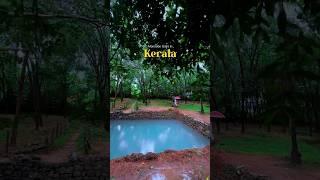 A pool in monsoon of Kerala #shortsvideo #travel #trending