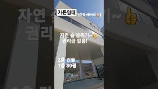 153.가든임대~베이커리카페,퓨전레스토랑 안산,가든임대#shorts[자세한 내용은 댓글란 참조]