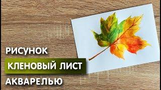 Как нарисовать кленовый лист карандашом и акварелью начинающим | Рисунок для детей