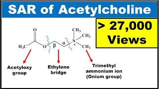 SAR of Acetylcholine (SAR of Parasympathomimetics) (Explained with structures)