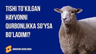 Tishi to'kilgan hayvonni qurbonlikka so'ysa bo'ladimi? | Ahrorjon Abdulvohid