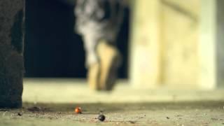 Sons of Chaos Paintball Team HD 1080