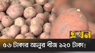 বীজ সংকটে শঙ্কায় উত্তরাঞ্চলের আলু চাষীরা | Potato Price | Bogura News | Ekhon TV