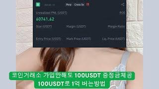 카이토코인 시세대비 저점 만원가즈아
