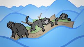 The WEIRD Way Monkeys Got to America