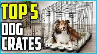  Top 5 Best Dog Crates of 2024