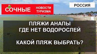 ПЛЯЖИ АНАПЫ | Где нет водорослей? Какой пляж выбрать Джемете, Сукко, Витязево, Выкокий Берег?