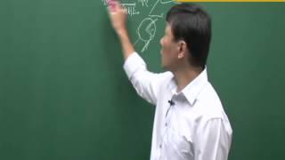 기능직공무원 일반직전환특채 행정학개론