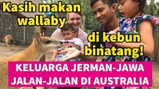 KANGURU apa WALLABY?! Jalan-jalan ke Kebun Binatang di Sydney Australi sama keluarga Jerman-Jawa