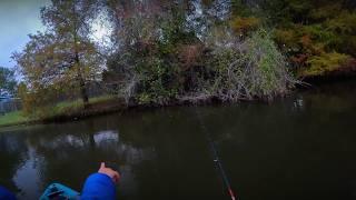 I Brought My Little Guy to the Little Pond // Father Son Kayak Fishing