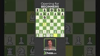 The Best Chess Opening For Beginners?