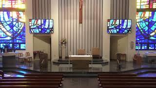 St. Norbert 7:30 AM Daily Mass-11/4/2024