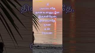Daily Bible Verse|CLAYWORD|Holy Bible #shorts #short #dailybibleverse#bible #tamil#shortsvideo#faith