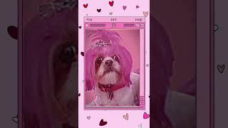 #keshab #logo #lovepuppies My son told me this was me .‍I do love  pink puppies  .