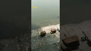 fishing video  #fishing #hookfishing #short #ayan