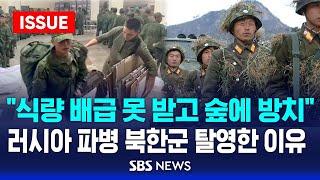 "식량 배급 못 받고 숲에 방치" 러시아 파병 북한군 탈영한 이유 (이슈라이브) / SBS