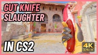  CS2 Gut Knife Slaughter | CS2 Knife In-Game Showcase [4K]