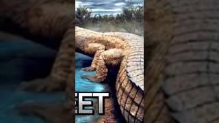 animal crocodile video #shorts #amazingfacts #factsinhindi