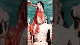 Govinda Balaji Full Abhishekam #tirupati #tirumala #darshan #vishnu #narayan #devasthanam #aarti