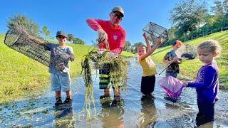 Catching GIANT EXOTIC CREATURES in a DRAINAGE DITCH with MINNOW TRAPS