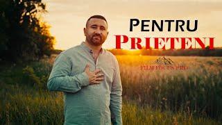 Mihai Falca - Pentru prieteni (COVER)