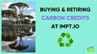 Guide: How To Buy & Retire Carbon Credits At IMPT.io