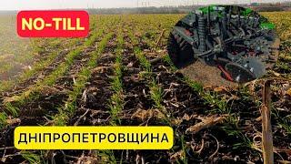 NO-TILL посів пшениці монодисковою сівалкою MULTISEM!