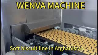 WENVA soft biscuit production line in Afghanistan, with small capacity