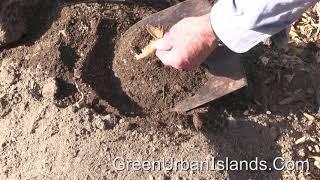 Make garden soil with a low cost plastic barrel composter -- $1 to make the composter?