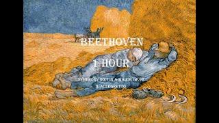 Beethoven - Symphony No.7 in A major op.92 - II, Allegretto (1 hour)