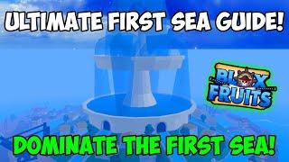 The ULTIMATE First Sea Guide In Blox Fruits! How To DOMINATE The First Sea In Blox Fruits!