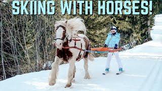 SKIING WITH HORSES!!! SKIJORING - THE EXTREME WINTER EQUESTRIAN SPORT!