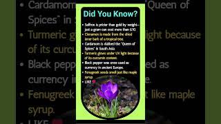 Did you know "Most wasabi served is actually horseradish with green dye."?